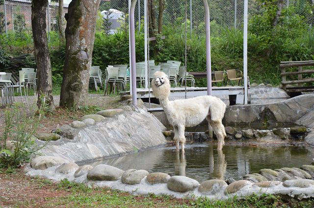 富田花園農場28