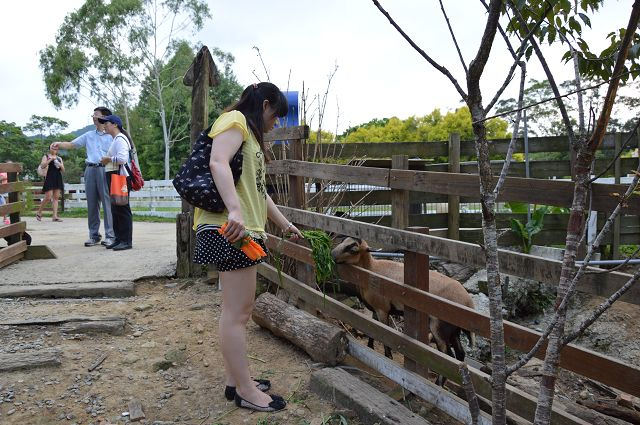 富田花園農場58
