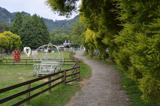 富田花園農場70