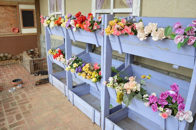 富田花園農場46