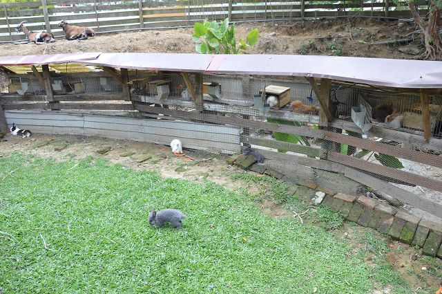 富田花園農場10