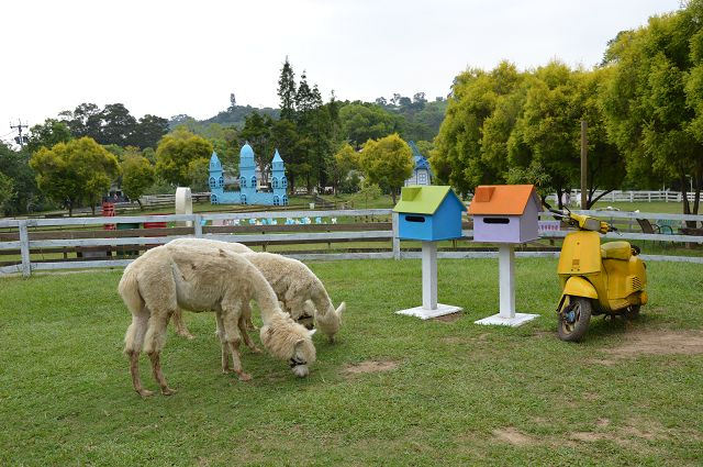 富田花園農場55
