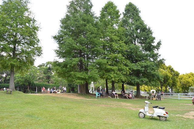 富田花園農場36