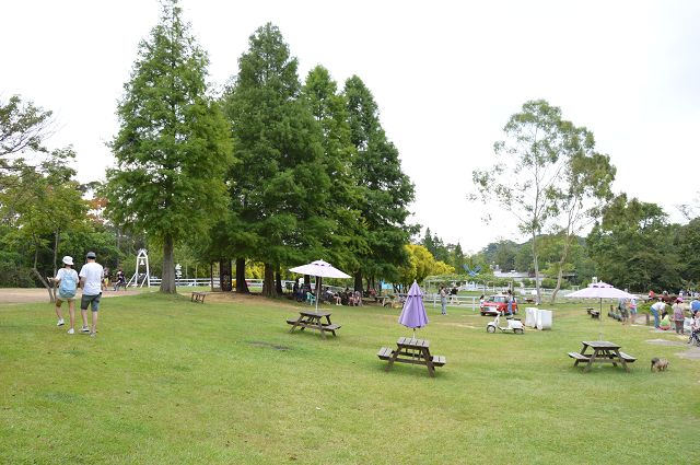 富田花園農場32