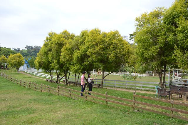 富田花園農場61