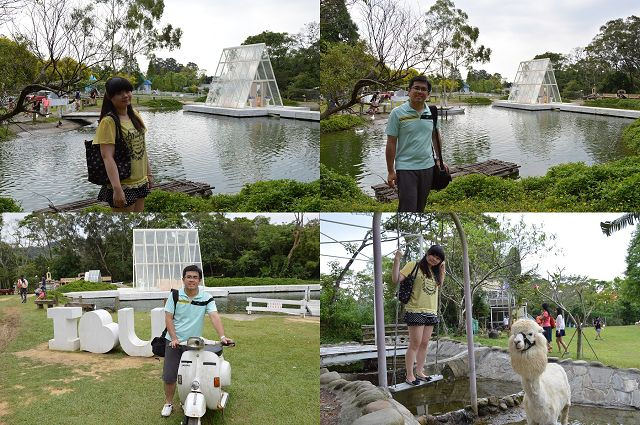 富田花園農場71