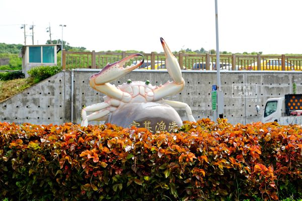富基漁港美食-北海岸海鮮萬里蟹