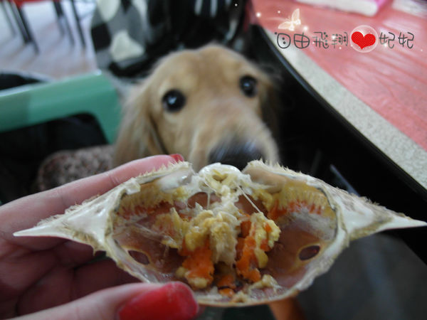 富基漁港魚產品銷售中心：『富基漁港』三點蟹的季節~好吃的海鮮在這裡