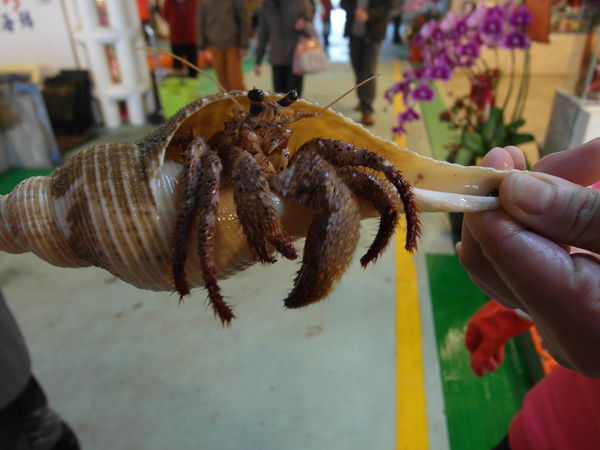 富基漁港魚產品銷售中心：『富基漁港』三點蟹的季節~好吃的海鮮在這裡