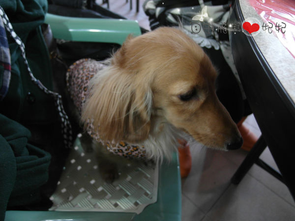 富基漁港魚產品銷售中心：『富基漁港』三點蟹的季節~好吃的海鮮在這裡