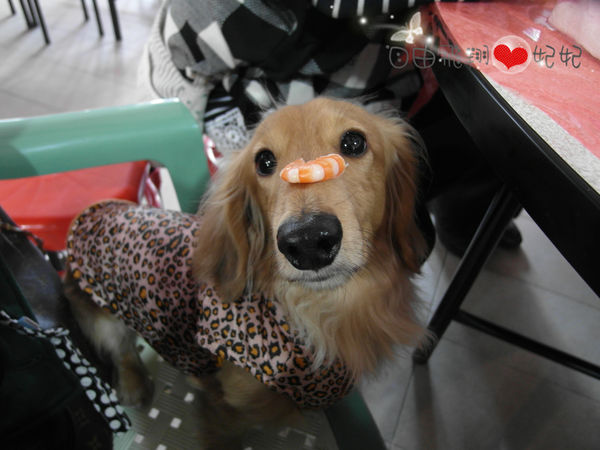 富基漁港魚產品銷售中心：『富基漁港』三點蟹的季節~好吃的海鮮在這裡