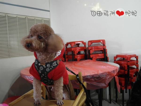 富基漁港魚產品銷售中心：『富基漁港』三點蟹的季節~好吃的海鮮在這裡