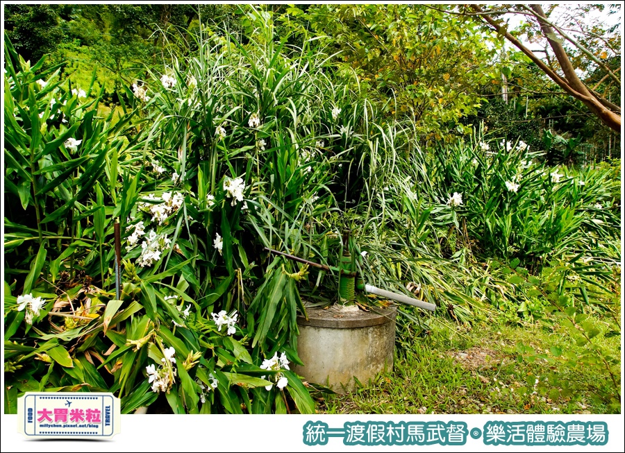 統一渡假村馬武督-樂活體驗農場@大胃米粒0015.jpg