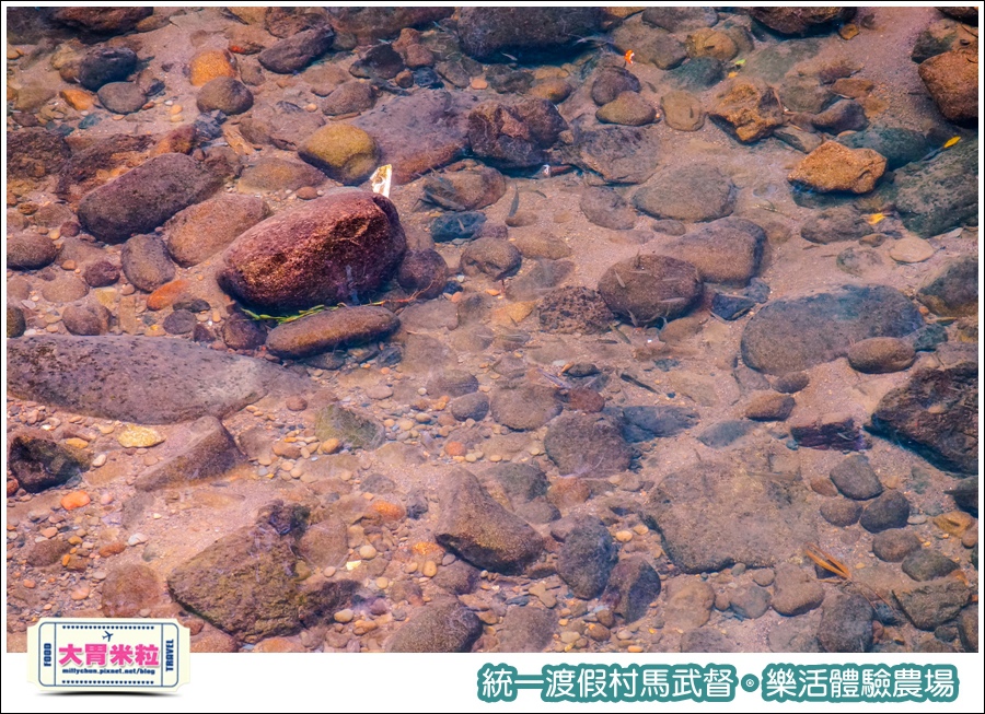 統一渡假村馬武督-樂活體驗農場@大胃米粒0081.jpg