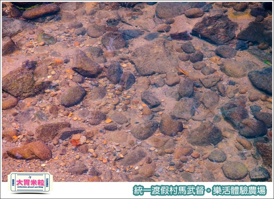 統一渡假村馬武督-樂活體驗農場@大胃米粒0005.jpg