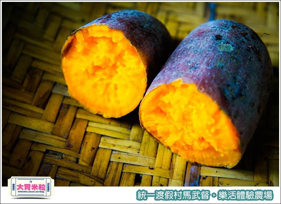 統一渡假村馬武督-樂活體驗農場@大胃米粒0080.jpg