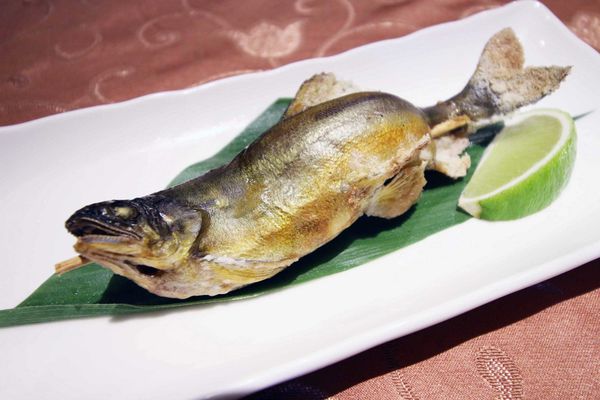 【新竹旅遊】六星集Me2Villa-不用出國也才能感受南洋風情