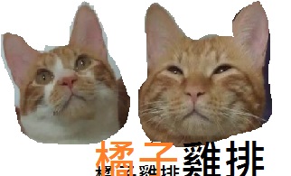 松子純手工奶酪烤布丁:口碑券NO.19 松子純手工奶酪烤布丁 -極致布丁奶酪口感