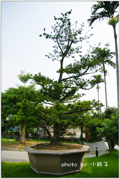 春水笈：礁溪-五星級民宿「春水笈」五省錢