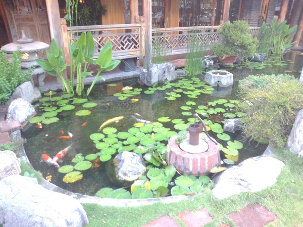 皇廷中華料理餐廳:正宗江西養生料理~皇廷煨湯