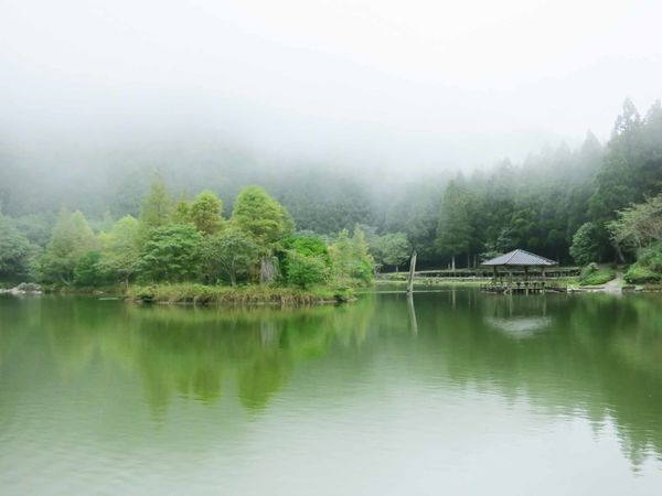 【宜蘭旅遊】明池國家森林遊樂區-流連忘返的美景