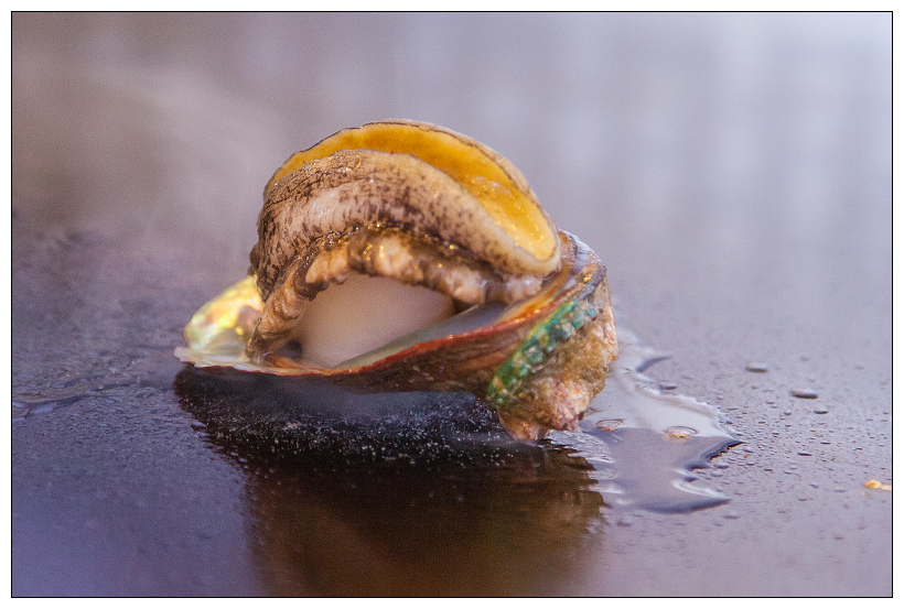 南港鐵板燒高樂