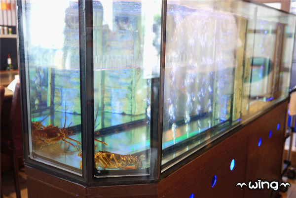 高樂餐飲-鐵板料理 與 小高玉迴轉壽司：［台北信義區］美味海鮮饗宴。【高樂餐飲-鐵板料理 與 小高玉迴轉壽司】炙燒握壽司/生魚片/海膽山藥細麵/胡麻豆腐體驗(捷運南港展覽館站美食餐廳)。