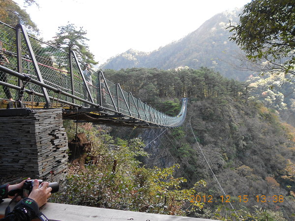 奧萬大國家森林遊樂區：楓中奇緣奧萬大