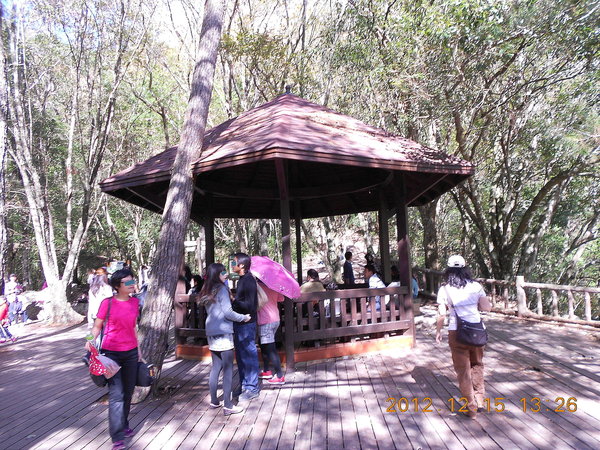 奧萬大國家森林遊樂區：楓中奇緣奧萬大