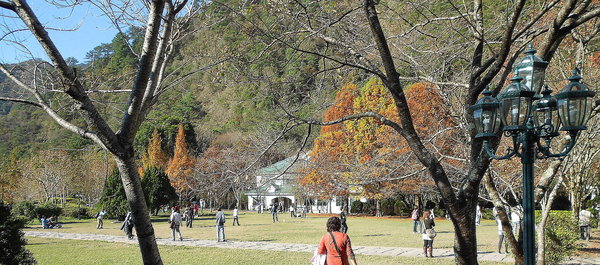 奧萬大國家森林遊樂區：楓中奇緣奧萬大