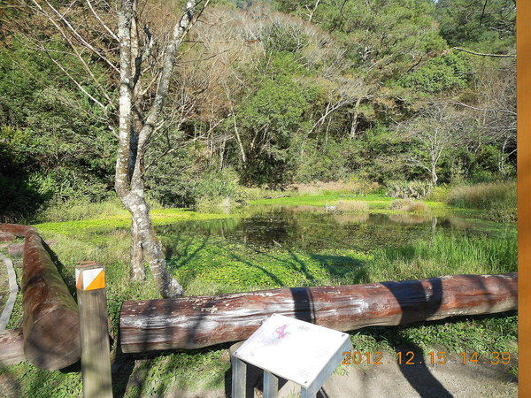 奧萬大國家森林遊樂區：楓中奇緣奧萬大