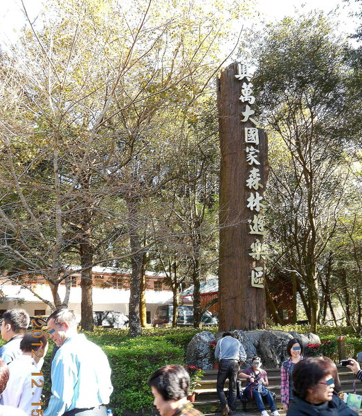 奧萬大國家森林遊樂區：楓中奇緣奧萬大