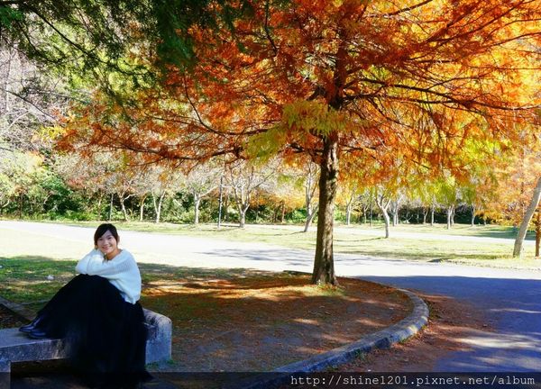 2015南投奧萬大國家森林遊樂園 賞楓 賞落羽松住宿
