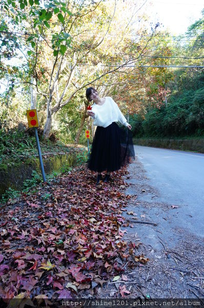 2015南投奧萬大國家森林遊樂園 賞楓 賞落羽松住宿