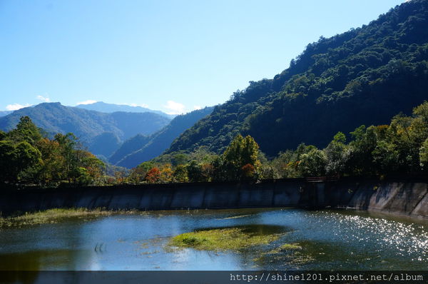 2015南投奧萬大國家森林遊樂園 賞楓 賞落羽松住宿
