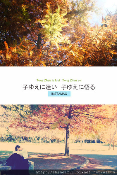 2015南投奧萬大國家森林遊樂園 賞楓 賞落羽松住宿