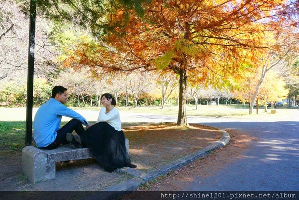 2015南投奧萬大國家森林遊樂園 賞楓 賞落羽松住宿