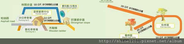 2015南投奧萬大國家森林遊樂園 賞楓 賞落羽松住宿