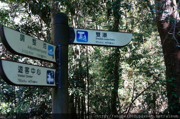 2015南投奧萬大國家森林遊樂園 賞楓 賞落羽松住宿