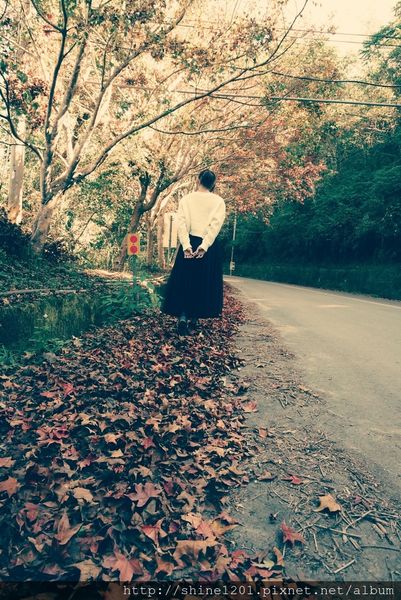 2015南投奧萬大國家森林遊樂園 賞楓 賞落羽松住宿