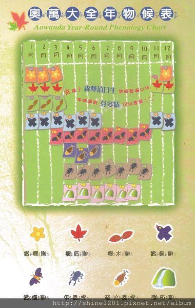 2015南投奧萬大國家森林遊樂園 賞楓 賞落羽松住宿