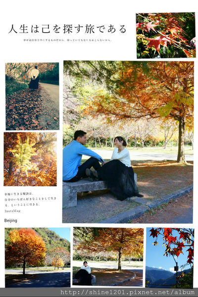 2015南投奧萬大國家森林遊樂園 賞楓 賞落羽松住宿