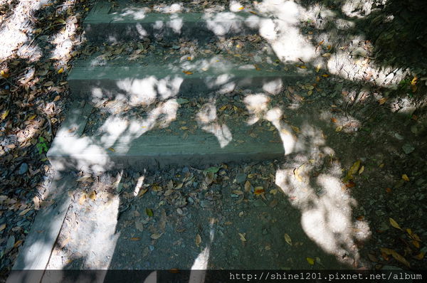 2015南投奧萬大國家森林遊樂園 賞楓 賞落羽松住宿