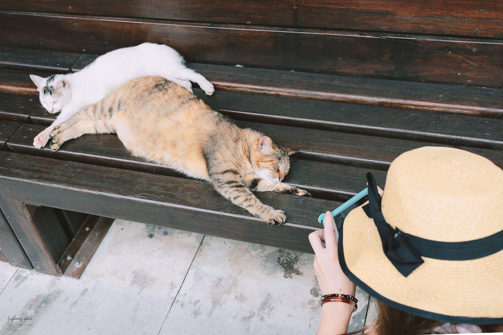 猴硐煤礦博物館的悠遊實紀