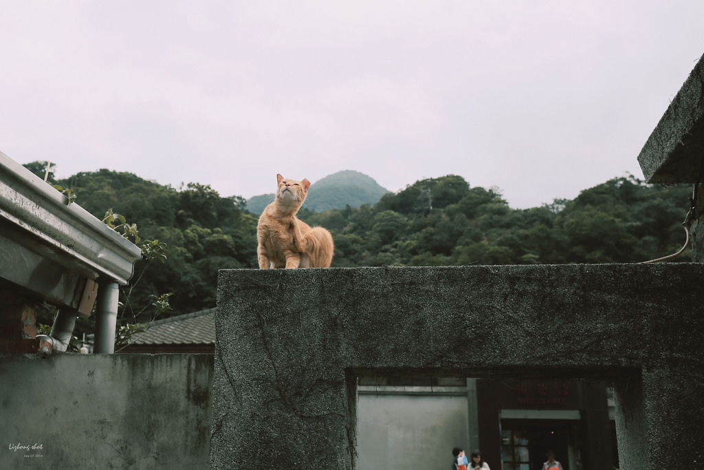 猴硐煤礦博物館的悠遊實紀