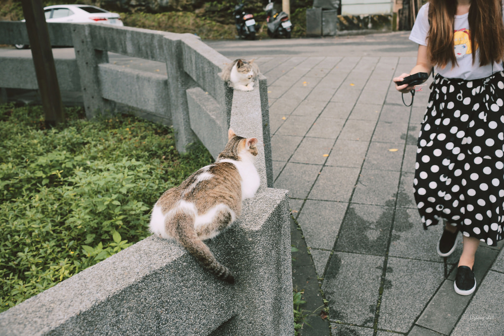 猴硐煤礦博物館的悠遊實紀