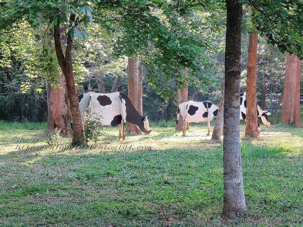 東海乳品小棧：東海乳品小棧