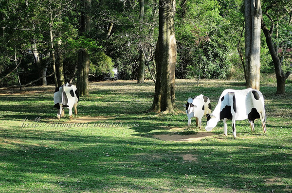 東海乳品小棧：東海乳品小棧