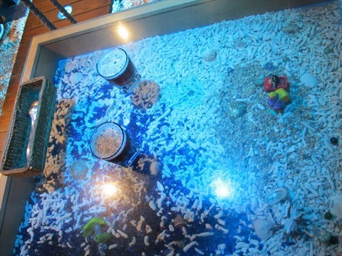 魚窩休閒茶坊的相片 - 萬華區)