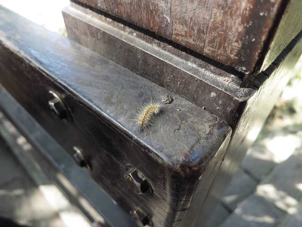 【台北旅遊】觀音山硬漢嶺夜景-淡水河口的美麗夜景